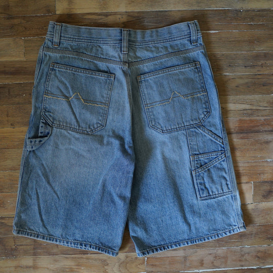 Carpenter Jorts