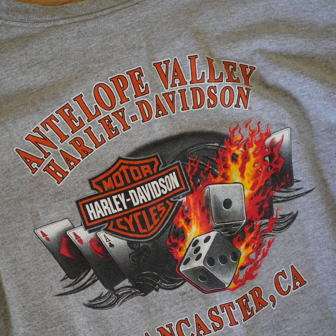 Harley Poker & Flames Tee
