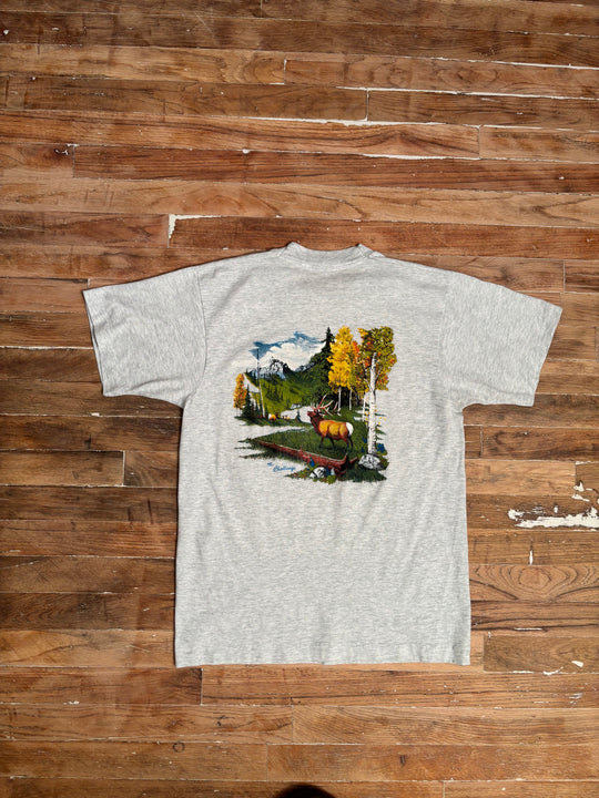065 90s Sheridan Wyoming Double-Sided Nature T-Shirt