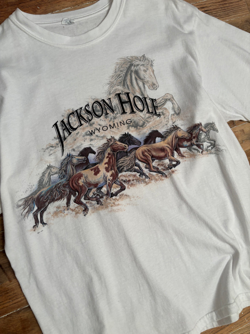 Mid-2000s Jackson Hole Wyoming Horse Graphic T-Shirt
